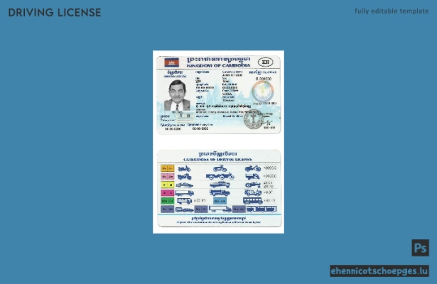 Beispiel für einen kambodschanischen Führerschein